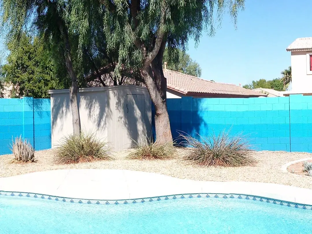 Turquoise and deep blue block wall behind a backyard pool, framed by a mature tree and desert plants.