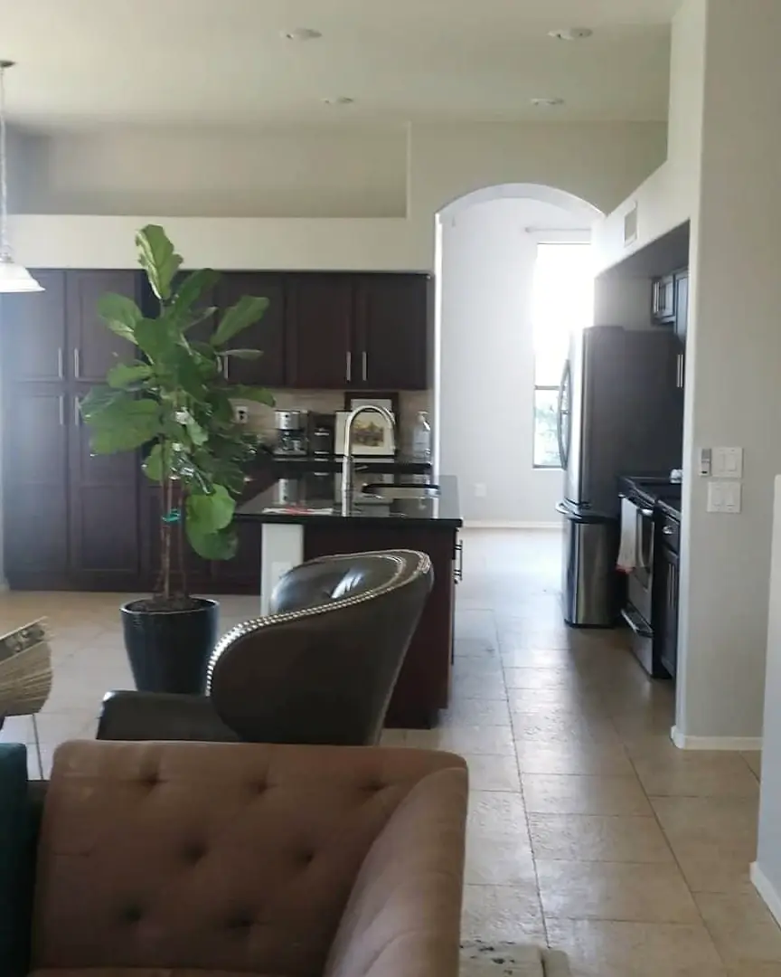 Open residential kitchen with deep black cabinetry, white walls, and daylight through an arched doorway.